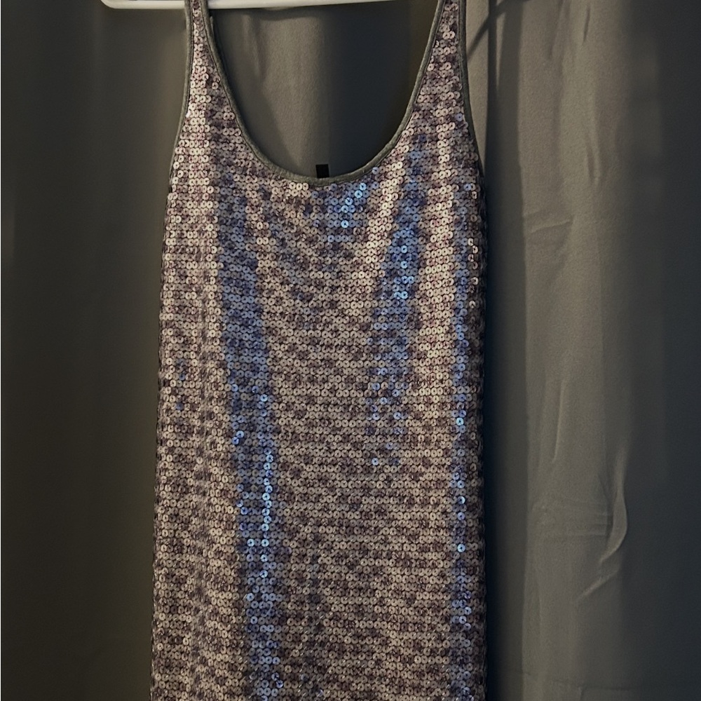 Express Silver Sequin Mini Dress